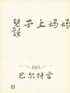 儿子上妈妈的小说