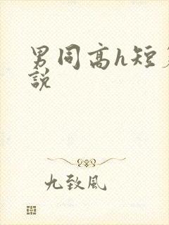 男同高h短篇小说