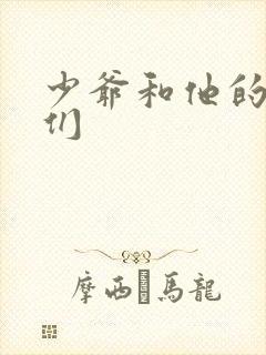 少爷和他的后妈们