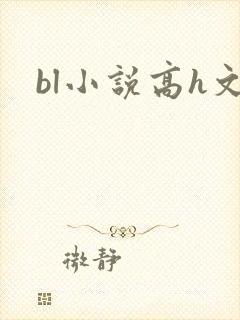 bl小说高h文