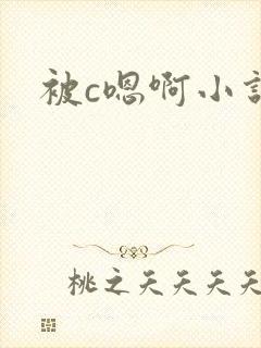 被c嗯啊小说封面