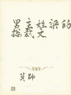 男主姓梁的小说总裁文封面