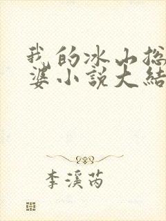 我的冰山总裁老婆小说大结局封面