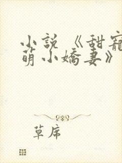 小说 《甜宠呆萌小娇妻》