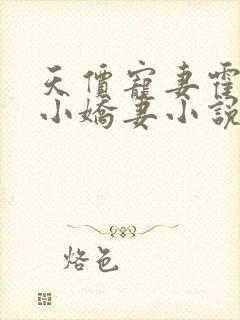 天价宠妻霍总的小娇妻小说免费封面