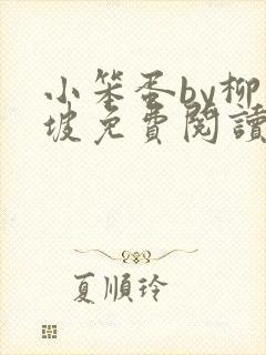 小笨蛋by柳满坡免费阅读全文封面