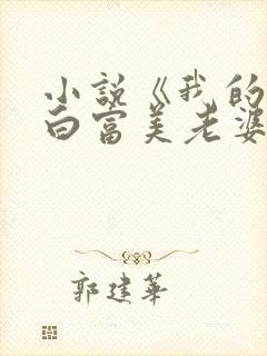 小说《我的总裁白富美老婆》