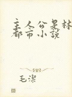 主人公是林天的都市小说