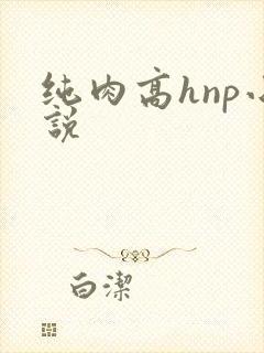 纯肉高hnp小说