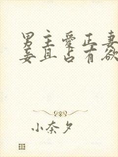 男主爱正妻却纳妾且占有欲很强宠妻