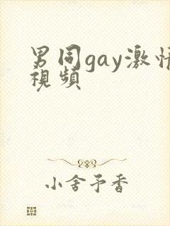 男同gay激情视频