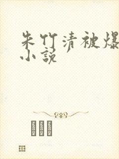 朱竹清被爆操.小说′封面