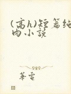 (高h)短篇纯肉小说