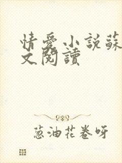 情爱小说苏柔全文阅读