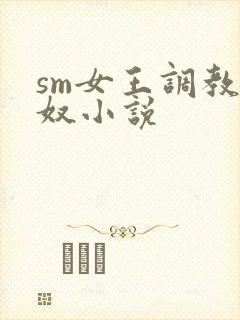 sm女王调教男奴小说封面