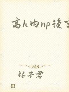 高h肉np后宫