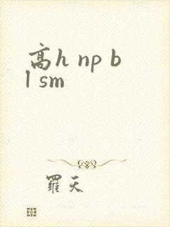 高h np bl sm