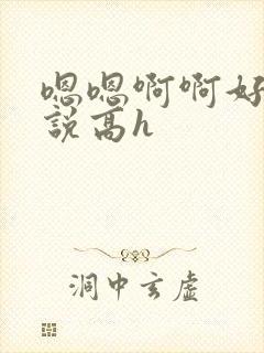 嗯嗯啊啊好爽小说高h