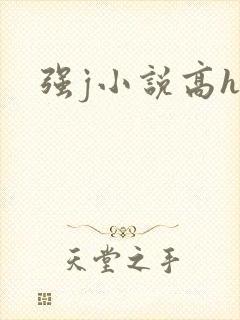 强j小说高h