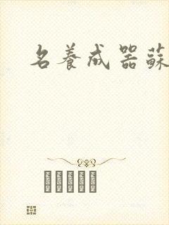 名养成器苏沫沫