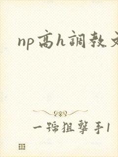 np高h调教文