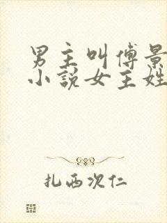 男主叫傅景琛的小说女主姓夏