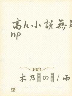 高h小说无删减np封面