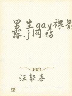 男生gay裸体露.j网站