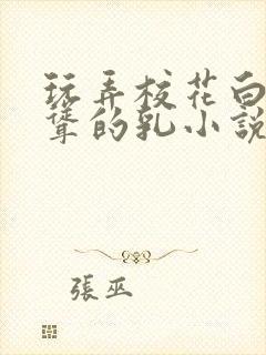 玩弄校花白嫩高耸的乳小说封面