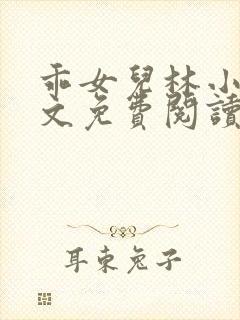 乖女儿林小喜全文免费阅读封面