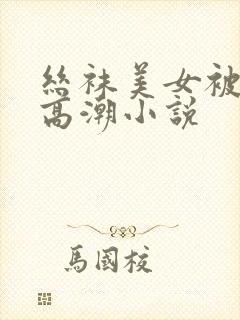 丝袜美女被调教高潮小说