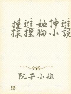 摸进她伸进内衣揉捏胸小说