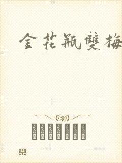 金花瓶双梅花3封面