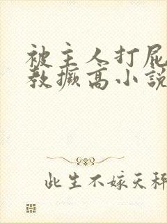 被主人打屁股调教撅高小说