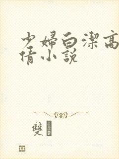少妇白洁高义孙倩小说封面