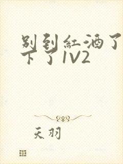 别到红酒了装不下了1V2