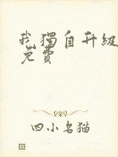 我独自升级在线免费封面