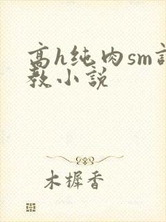 高h纯肉sm调教小说