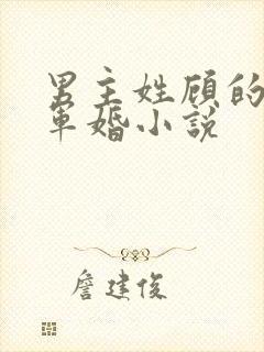 男主姓顾的所有军婚小说封面