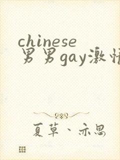 chinese男男gay激情