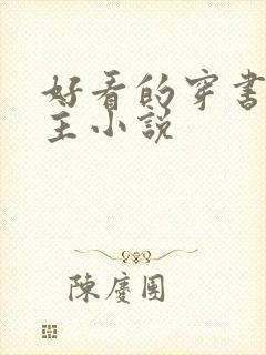 好看的穿书双男主小说封面