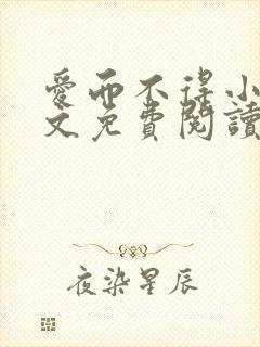 爱而不得小说全文免费阅读封面