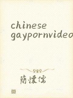 chinesegaypornvideo