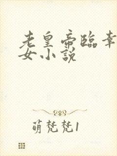 老皇帝临幸小御女小说封面