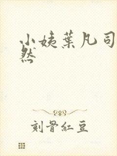 小姨叶凡司徒嫣然