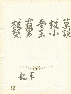 校霸受校草攻的双男主小说