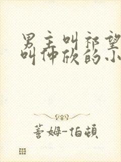 男主叫祁望女主叫仲欣的小说