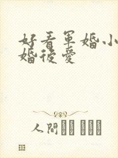 好看军婚小说先婚后爱封面