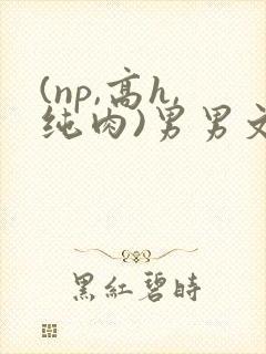 (np,高h,纯肉)男男文