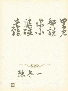 老婆你哪里我不能碰小说免费阅读全文